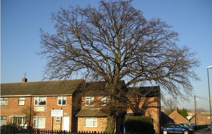 Willenhall Oak Medical Centre  